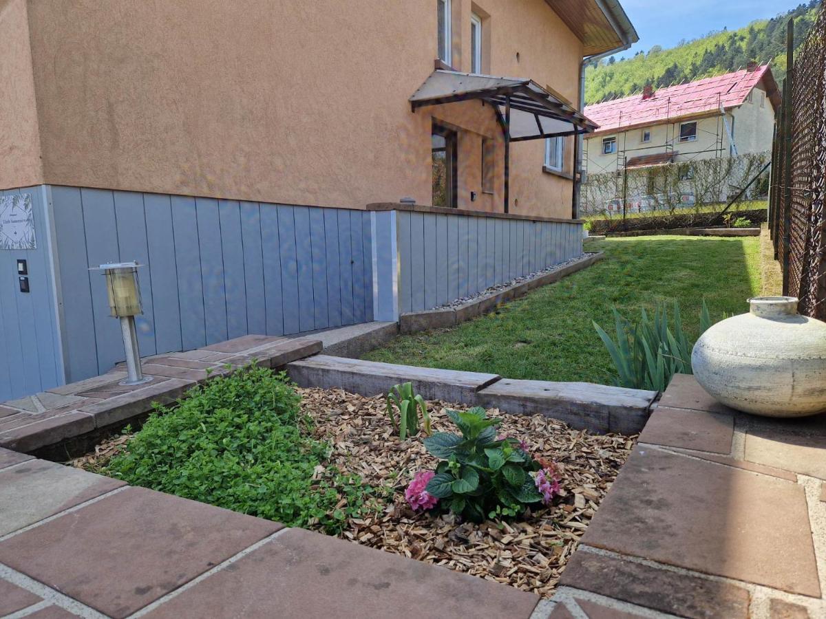 L'Ecole Buissonniere Apartment Dabo Exterior photo